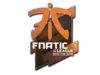 Fnatic (Holo) | Boston 2018