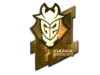 G2 Esports (Gold) | Boston 2018