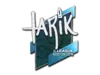 tarik | Boston 2018