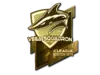 Vega Squadron (Gold) | Boston 2018