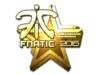 Fnatic (Gold) | Cluj-Napoca 2015