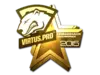 Virtus.Pro (Gold) | Cluj-Napoca 2015