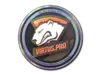 Virtus.Pro (Holo) | Cologne 2014