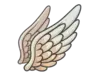 Fly High