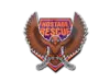 Hostage Rescue