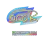 acoR (Holo) | Copenhagen 2024