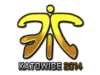 Fnatic (Foil) | Katowice 2014