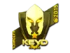 Keyd Stars (Gold) | Katowice 2015