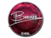 Brehze (Foil) | Katowice 2019