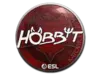 Hobbit | Katowice 2019