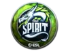 Team Spirit (Foil) | Katowice 2019