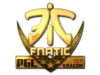 Fnatic (Gold) | Krakow 2017