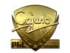 cajunb (Gold) | Krakow 2017