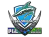 Vega Squadron (Holo) | Krakow 2017