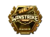 Winstrike Team (Gold) | London 2018