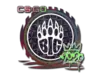 BIG (Holo) | 2020 RMR