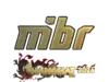 MIBR (Gold) | Shanghai 2024